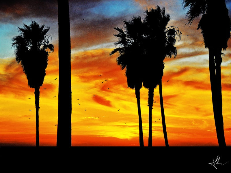 MARIA MULAMBO DO CRUZEIRO DAS ALMAS - urbanarts