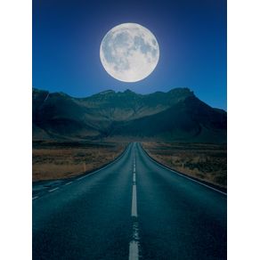 THE BIG MOON ON THE ROAD