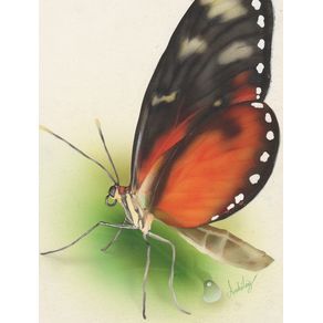 BUTTERFLY AIRBRUSH