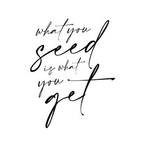 WHAT YOU SEED IS WHAT YOU GET
