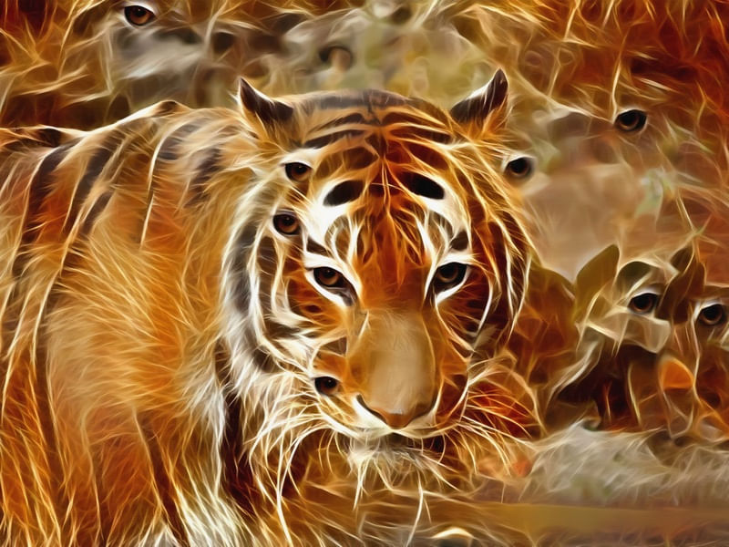 Tigre em PRINTS - Animais - Animais 2 120 X 90 CM – urbanarts