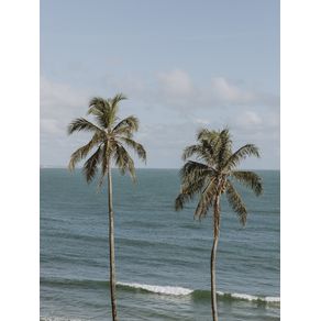 TROPICAL COCONUT TREES