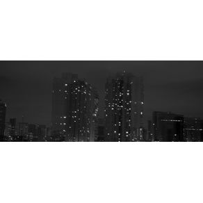 SAO PAULO AT NIGHT 14