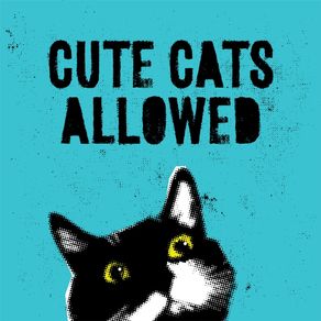 CUTE CATS ALLOWED