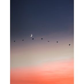 BIRDS WITH THE MOON