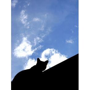 BLACK CAT OVER BLUE SKY