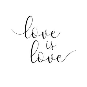 LOVE IS LOVE QUOTE