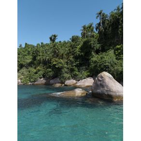 ILHA DOS COCOS - RJ