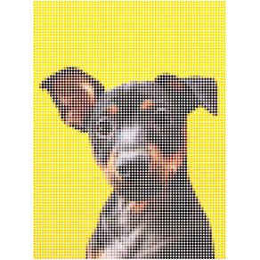 DOTTED YELLOW DOG