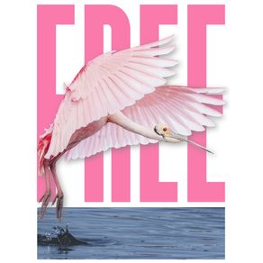 FREE BIRD TYPO