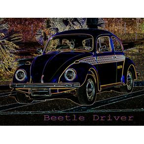 BEETLE DRIVER
