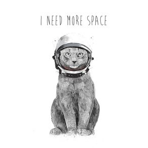 I NEED MORE SPACE II