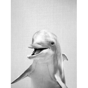 DOLPHIN - BLACK AND WHITE