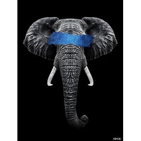 BLUE ELEPHANTE