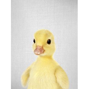 YELLOW DUCKLING - COLORFUL