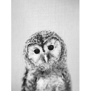 BABY OWL - BLACK AND WHITE