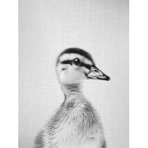 DUCKLING - BLACK AND WHITE