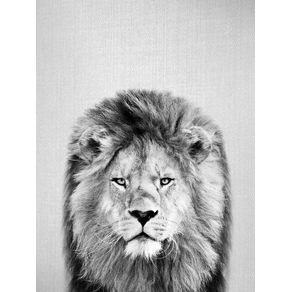 LION - BLACK AND WHITE