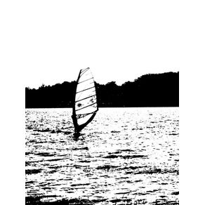 WINDSURF SURF 02