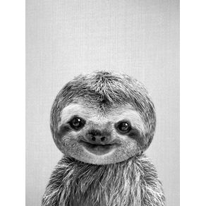 BABY SLOTH - BLACK AND WHITE