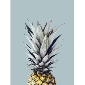 ABACAXI PINEAPPLE 02