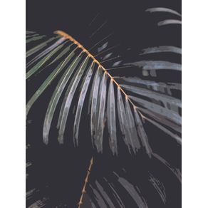 NATURE WITH PALM LEAVES