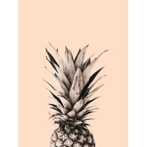 ABACAXI PINEAPPLE 04