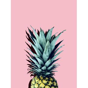 ABACAXI PINEAPPLE 10