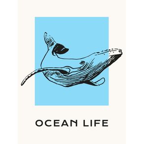 OCEAN LIFE BALEIA