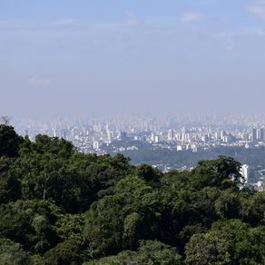 CONTEMPLANDO SÃO PAULO (QUADRÍPTICO 1-4)