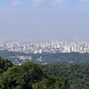 CONTEMPLANDO SÃO PAULO (QUADRÍPTICO 2-4)