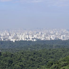CONTEMPLANDO SÃO PAULO (QUADRÍPTICO 3-4)