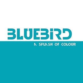 BLUEBIRD - A SPLASH OF COLOUR
