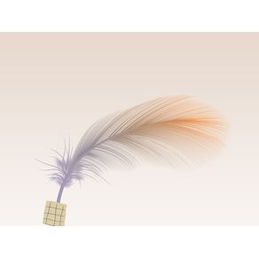 LIGHT FEATHER 03