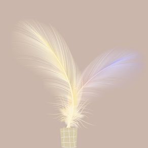 LIGHT FEATHER 05