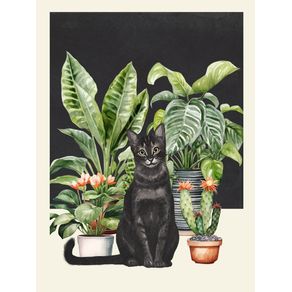 BLACK CAT AND HOUSE PLANTS