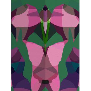 COLOR FIELD AX094 - ABSTRATO FLORAL ROSA