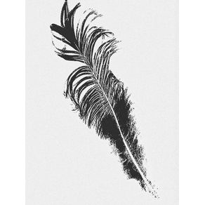 FEATHER AND DESIRE VIII