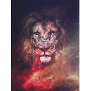 THE LION AND GALAXY