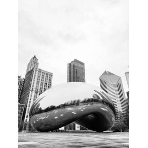 CHICAGO BEAN 2