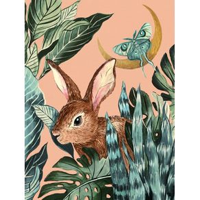 TROPICAL FOREST BUNNY CORAL