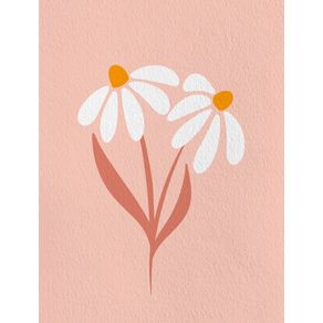 DAISIES FLOWERS - PINK