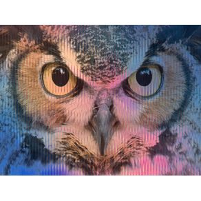PINK AND BLUE OWL
