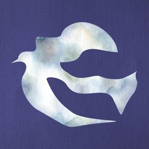 BLUE BIRDS SERIES - 02