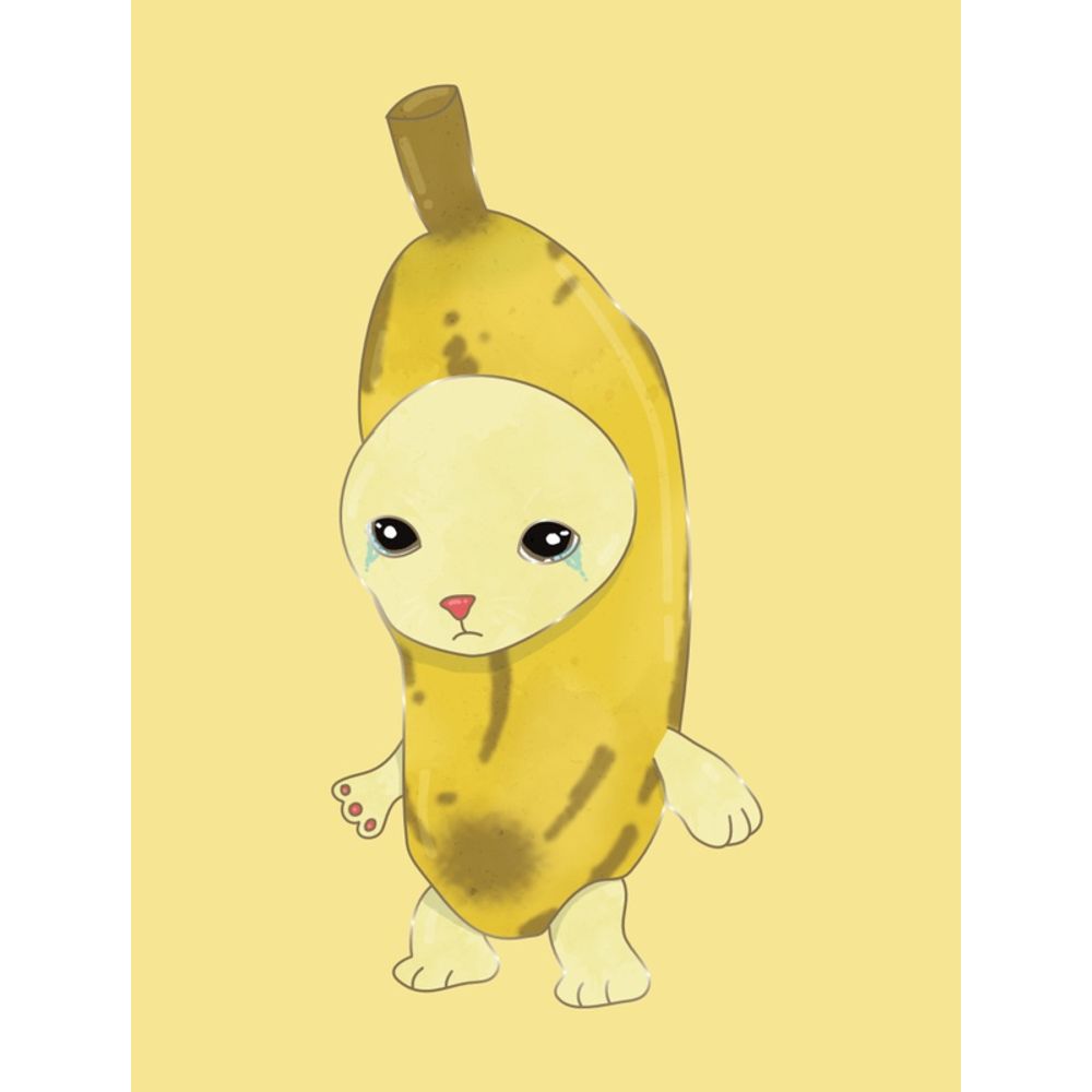 Gato Banana Meme Urbanarts