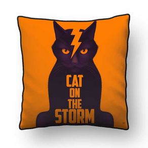 ALMOFADA---CAT-ON-THE-STORM
