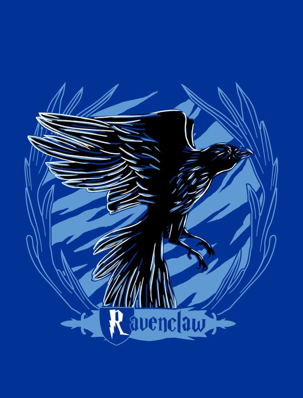 HARRY POTTER RAVENCLAWL CORVINAL - urbanarts