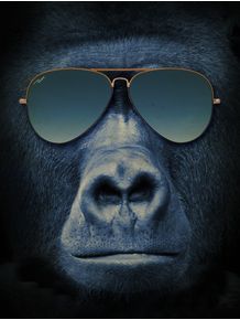 gorilla-sunglass