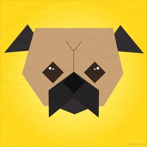 woof-series--pug