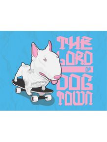 the-lord-of-dogtown